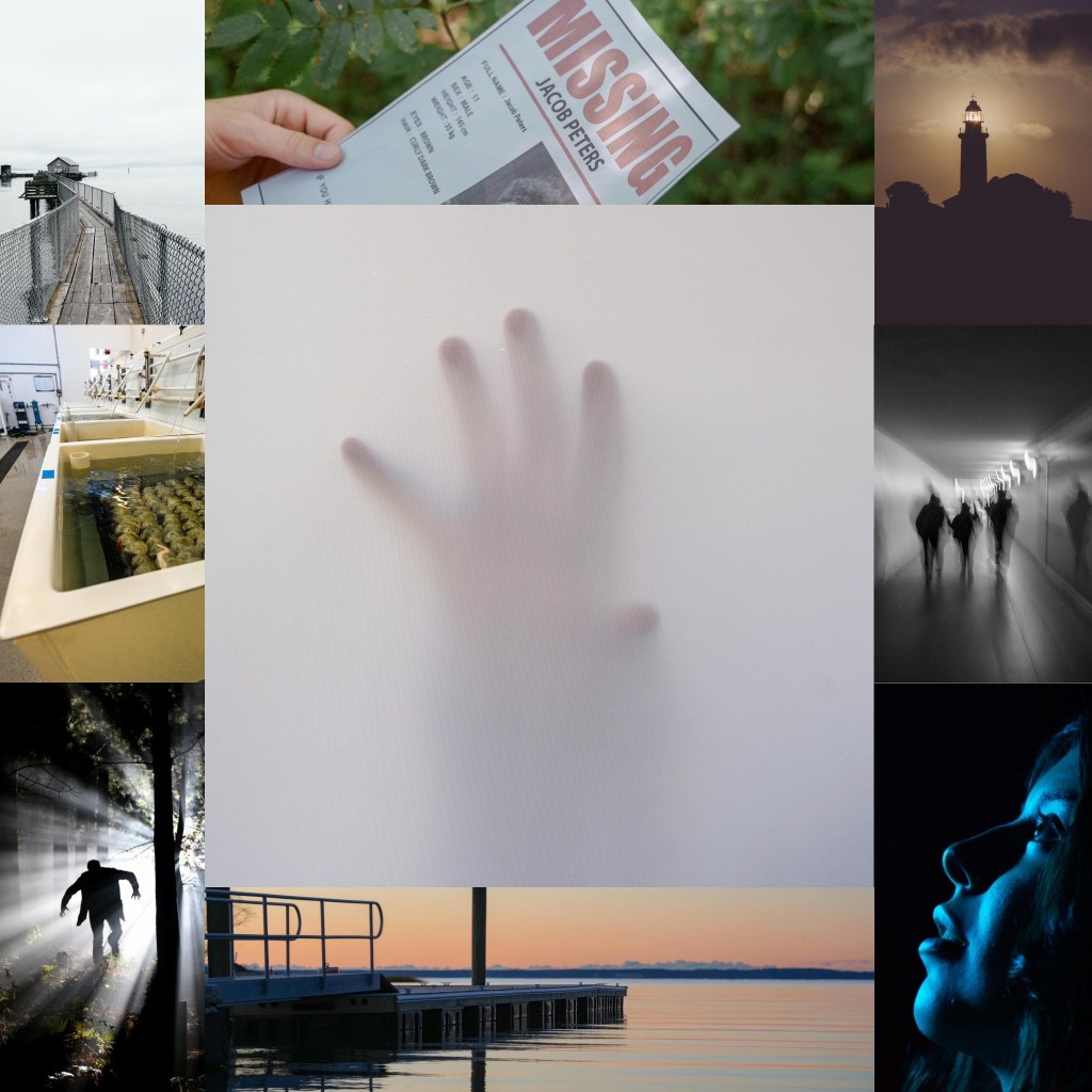 Top left: fenced pier jutting out into the sea with worn wooden planks
Top center: Someone holding a missing poster
Top right: lighthouse at night with light shining onto partially cloudy sky with everything in shadow below
Middle left: facility vats with seafood submerge din water
Center: hand pressing on white, steamy wall
Middle right: blurry view of three people walking down a tunnel
Bottom left: man emerging through the trees with shafts of light spilling around him
Bottom center: empty pier at sunset with colors of orange and yellow in the sky and water
Bottom right: girl looking up with blue light on her face